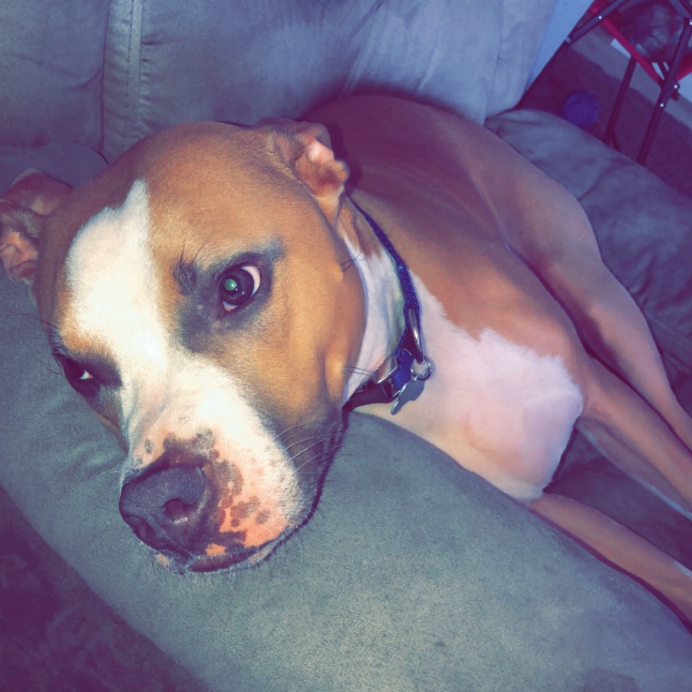 Meet your Posher, Kelsey